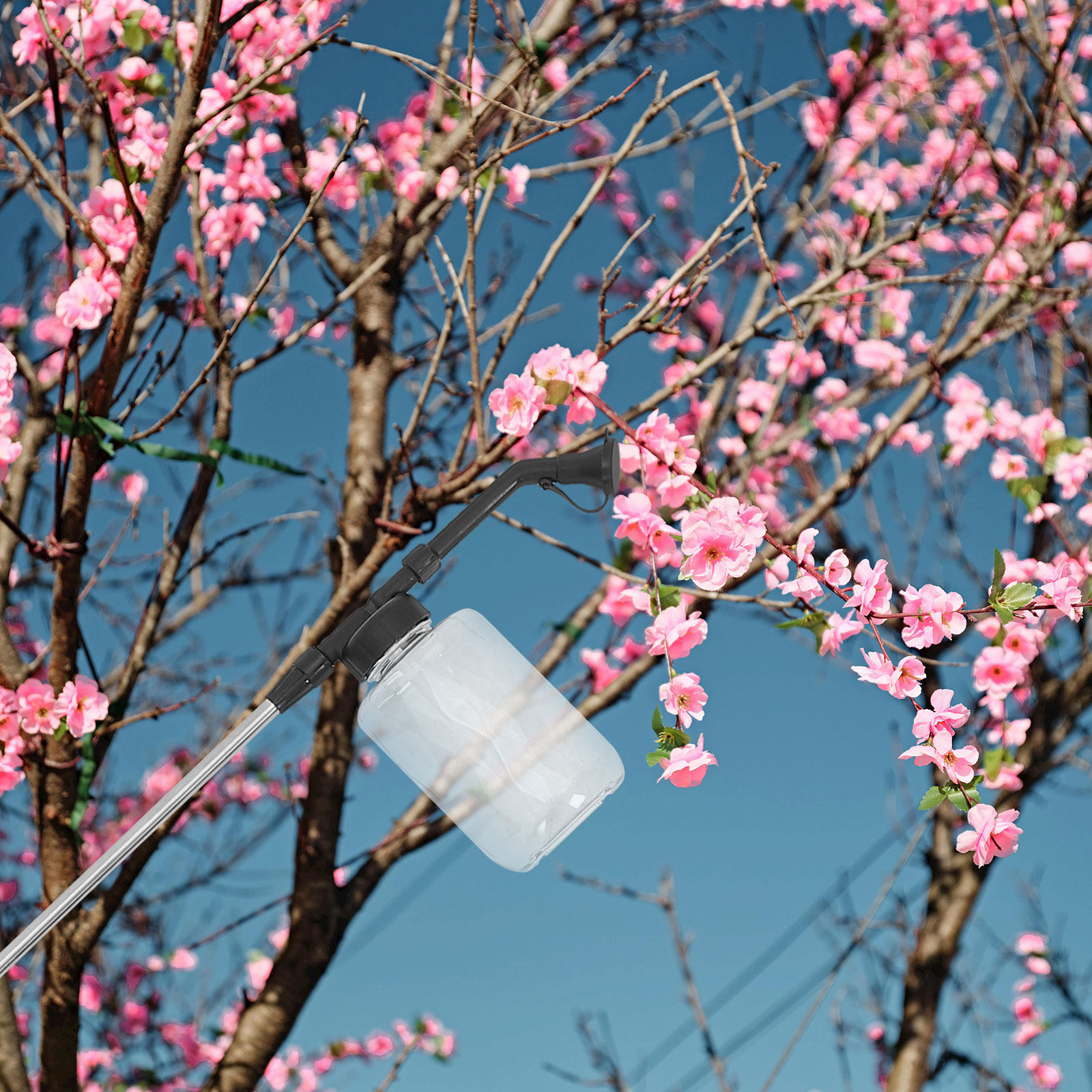 عصا تلقيح يدوية، أداة تلقيح مح - مراجعة Flower Supplies وسعره