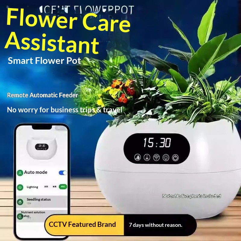 وعاء زهور ذكي بتقنية الذكاء ال - مراجعة Flower Supplies وسعره