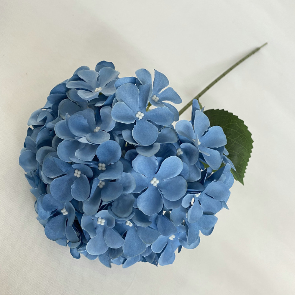 زهور هيدرانجيا اصطناعية للزينة - مراجعة Longs Florist Supply وسعره