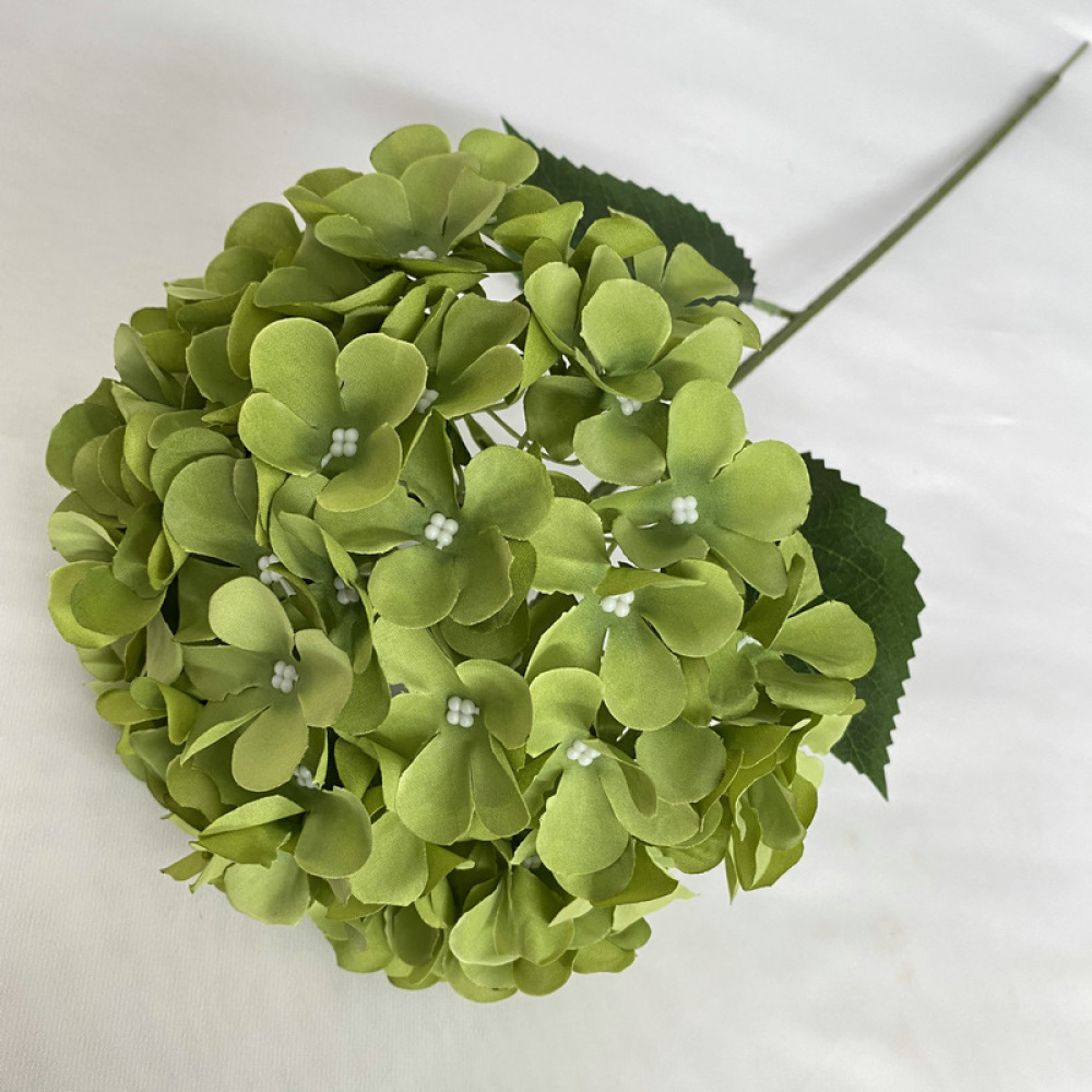 زهور هيدرانجيا اصطناعية للزينة - مراجعة Longs Florist Supply وسعره