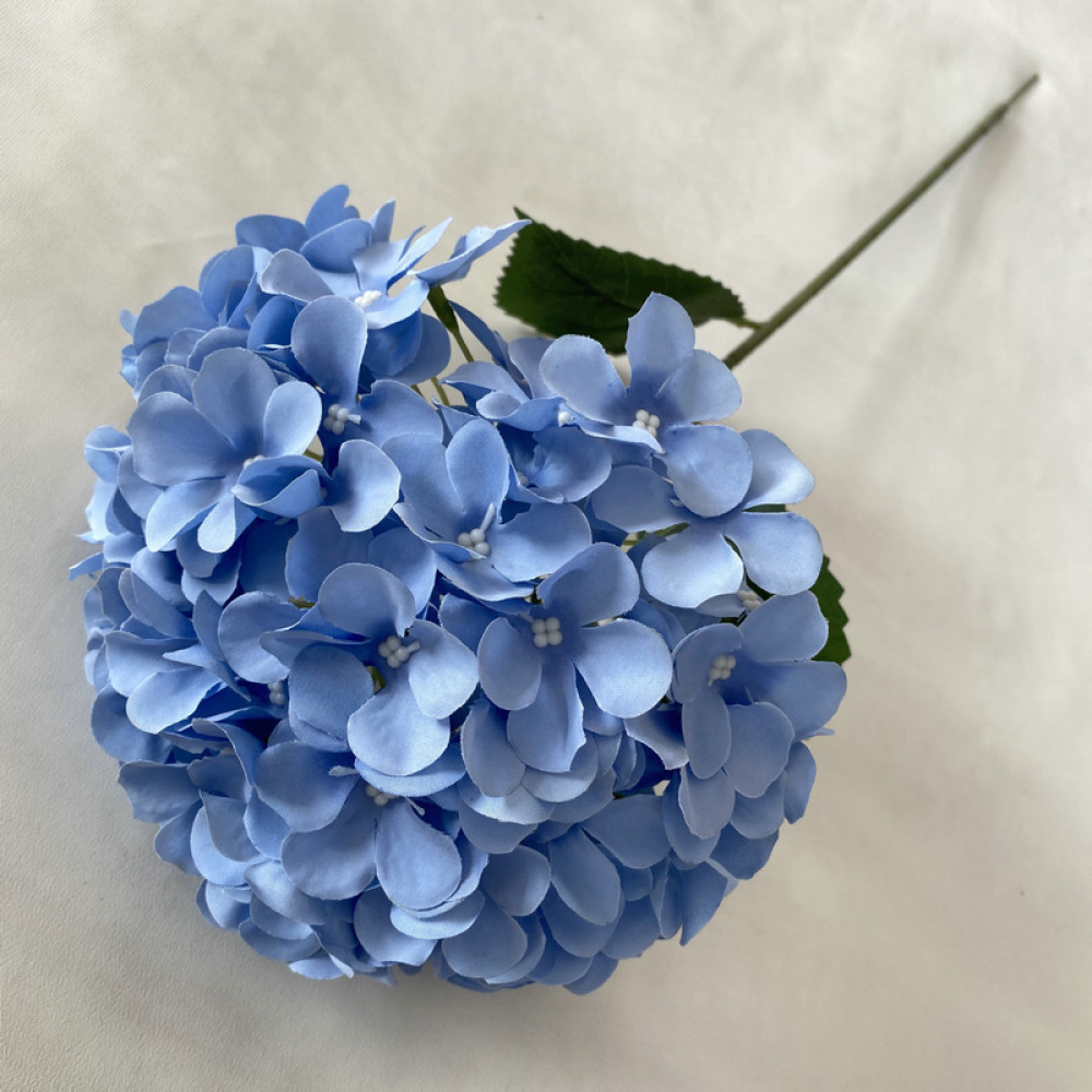 زهور هيدرانجيا اصطناعية للزينة - مراجعة Longs Florist Supply وسعره